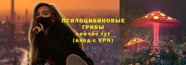 ECSTASY Новокубанск