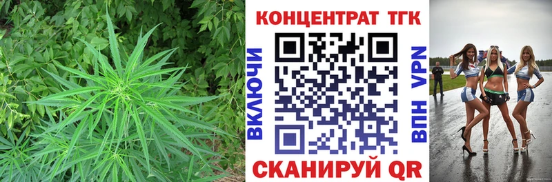 ТГК концентрат  Нерчинск 
