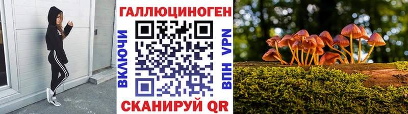 Псилоцибиновые грибы прущие грибы  ссылка на мегу маркетплейс  Нерчинск 